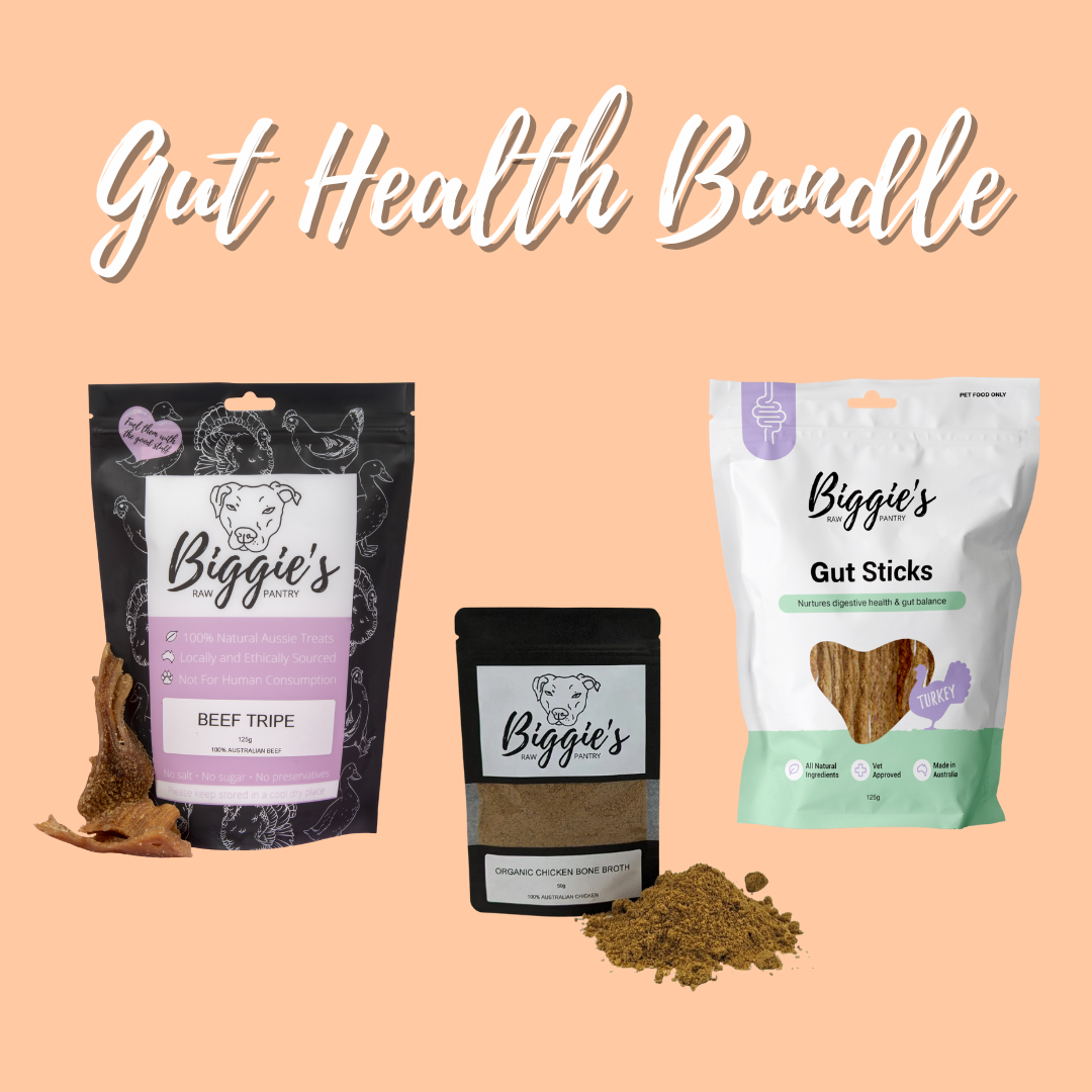 The Gut Health Bundle | Natural Digestive Support for Dogs – Biggie's ...
