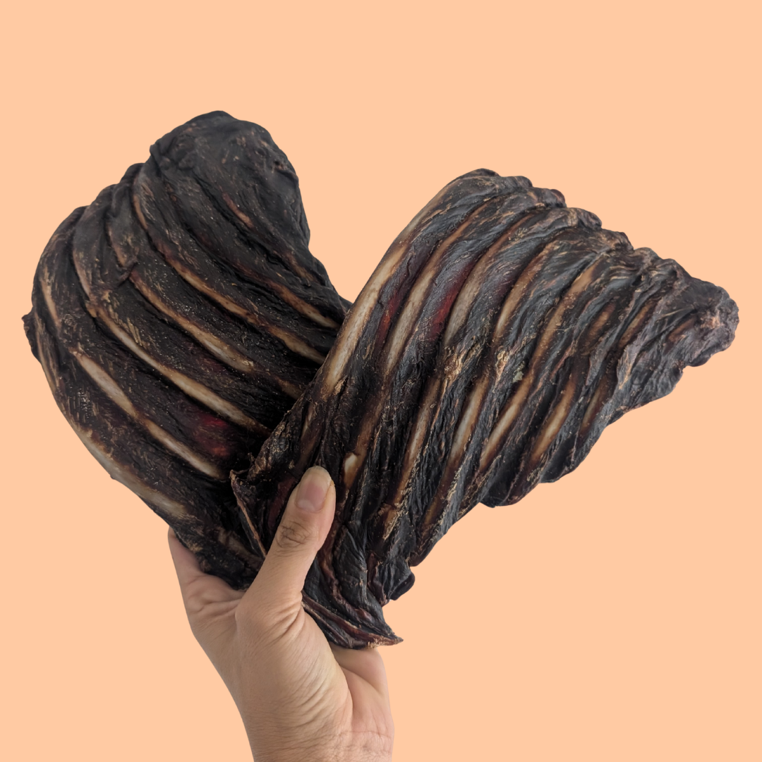 Kangaroo Ribs for Dogs – Dental Health & Protein-Rich Chew – Biggie's ...
