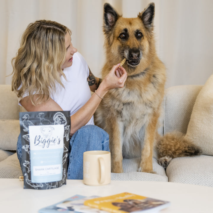 Shark Cartilage for Dogs – Natural Joint & Bone Support – Biggie's Raw ...
